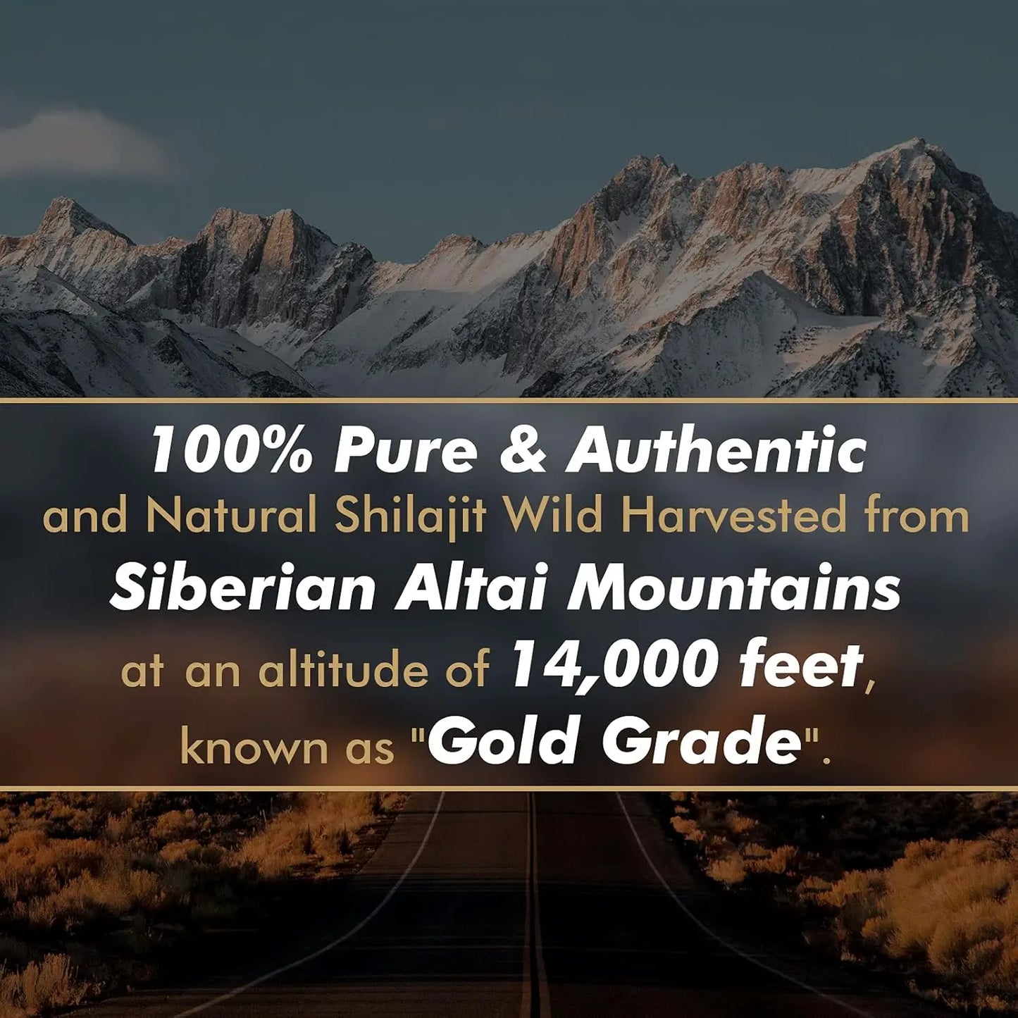 Pure Energy Shilajit Gel