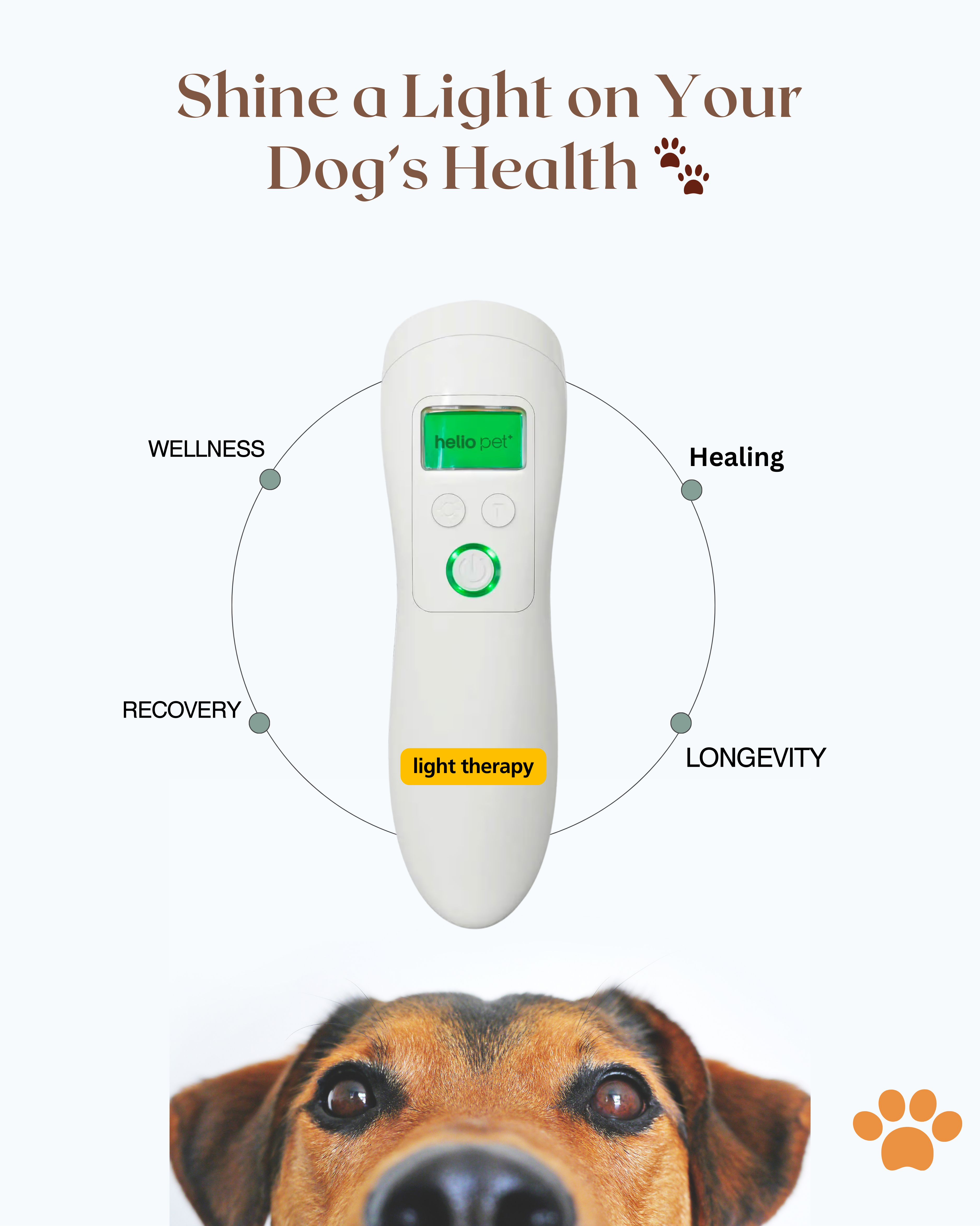Pet Pain Relief Light Therapy
