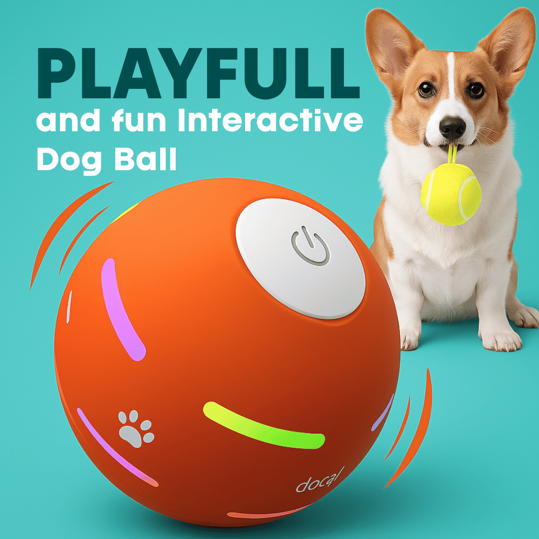 PawBound Interactive Dog Ball