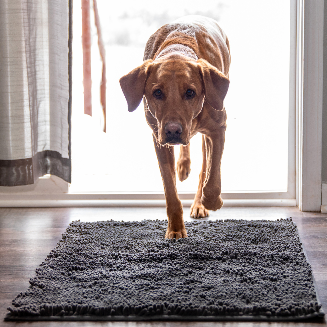 Magic Paw Cleaner Mat