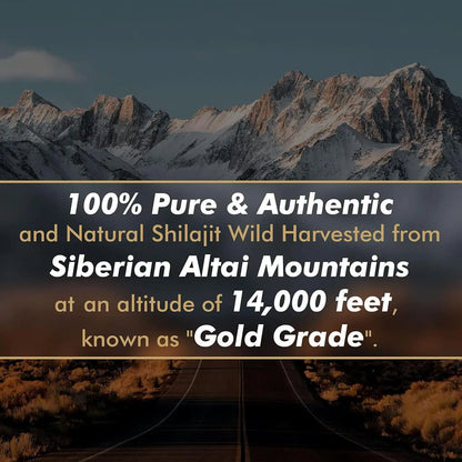 Pure Energy Shilajit Gel